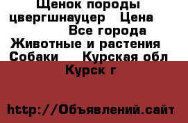 Щенок породы  цвергшнауцер › Цена ­ 30 000 - Все города Животные и растения » Собаки   . Курская обл.,Курск г.